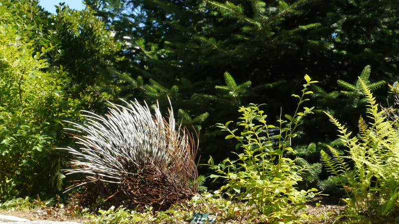 A sculpture of a porcupine with long quills next to a green bush in front of woods.