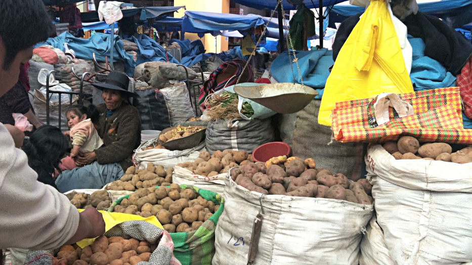 Sacks of potatoes in a market in the Peruvian Andes.